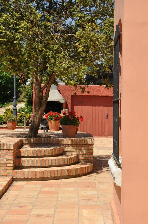 Вилла Mas Figueres Marca Экстерьер фото